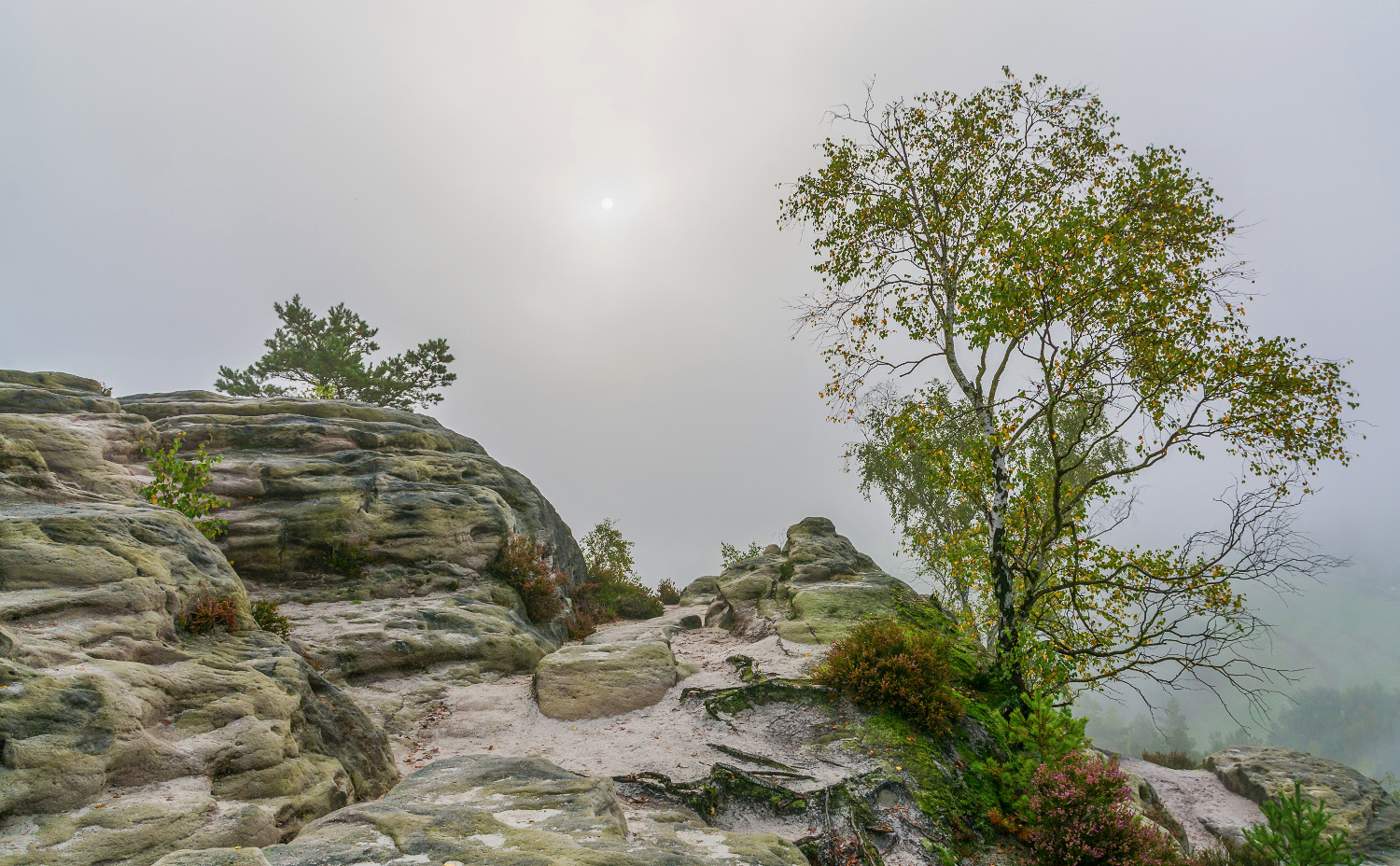 Felsen im Nebel