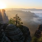 felsen im nebelmeer