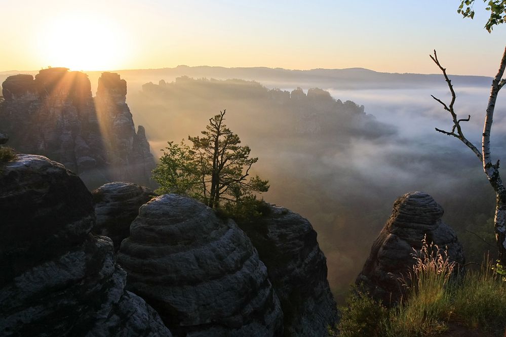 felsen im nebelmeer