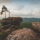 Felsen im Pfälzer Wald