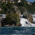 Felsen im Rheinfall