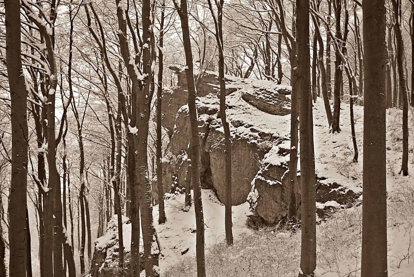 Felsen im Schnee...