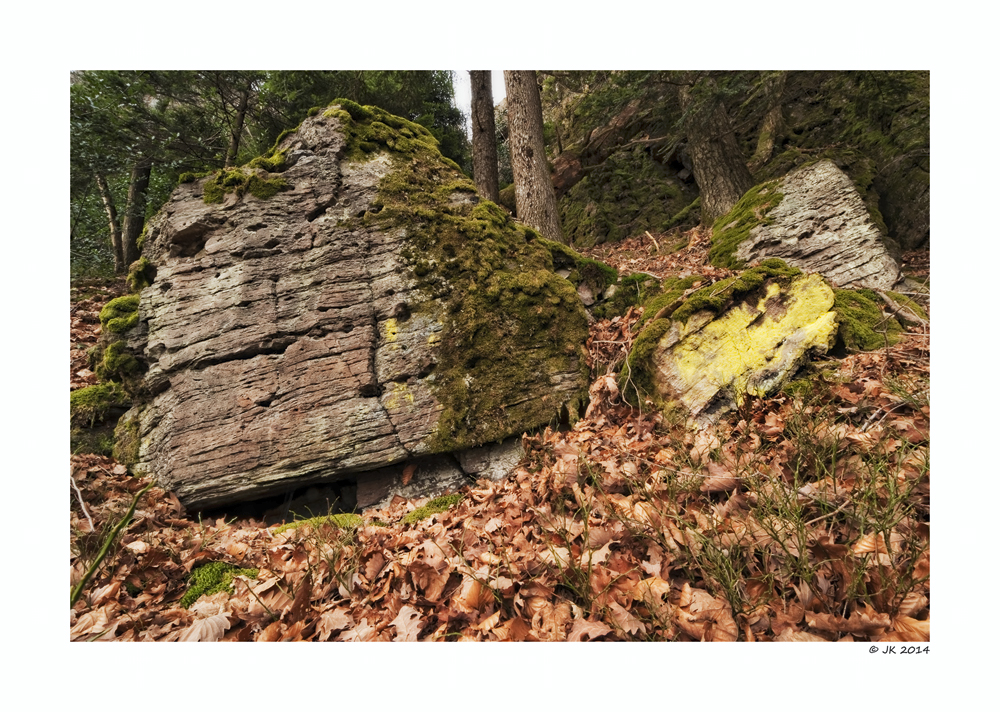 Felsen im Schwarzwald II