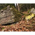 Felsen im Schwarzwald II