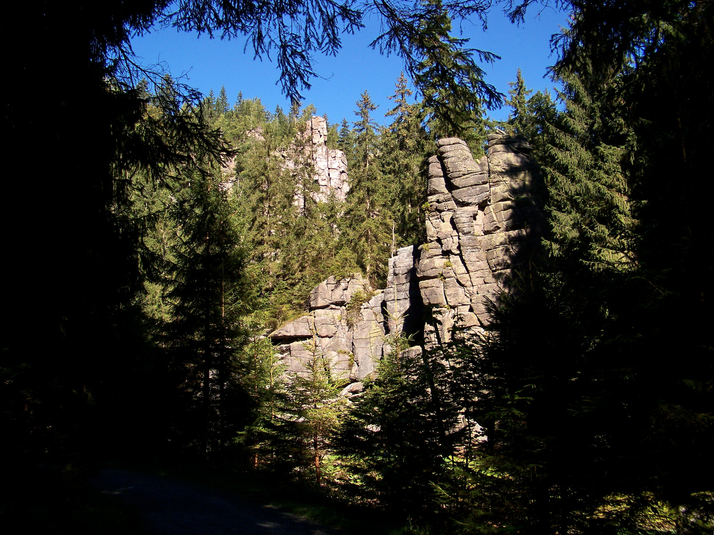 Felsen im Schwarzwassertal