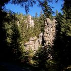 Felsen im Schwarzwassertal