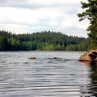 Felsen im See – Südschweden – Götaland