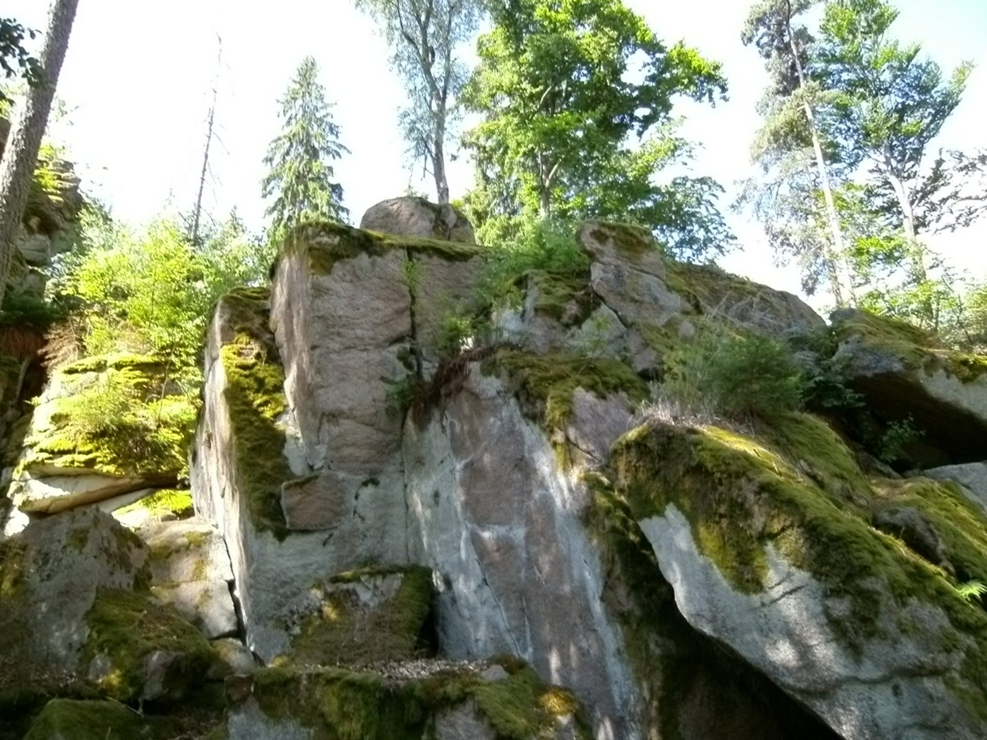 Felsen im Steinwald