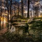 Felsen im Süntel / Weserbergland