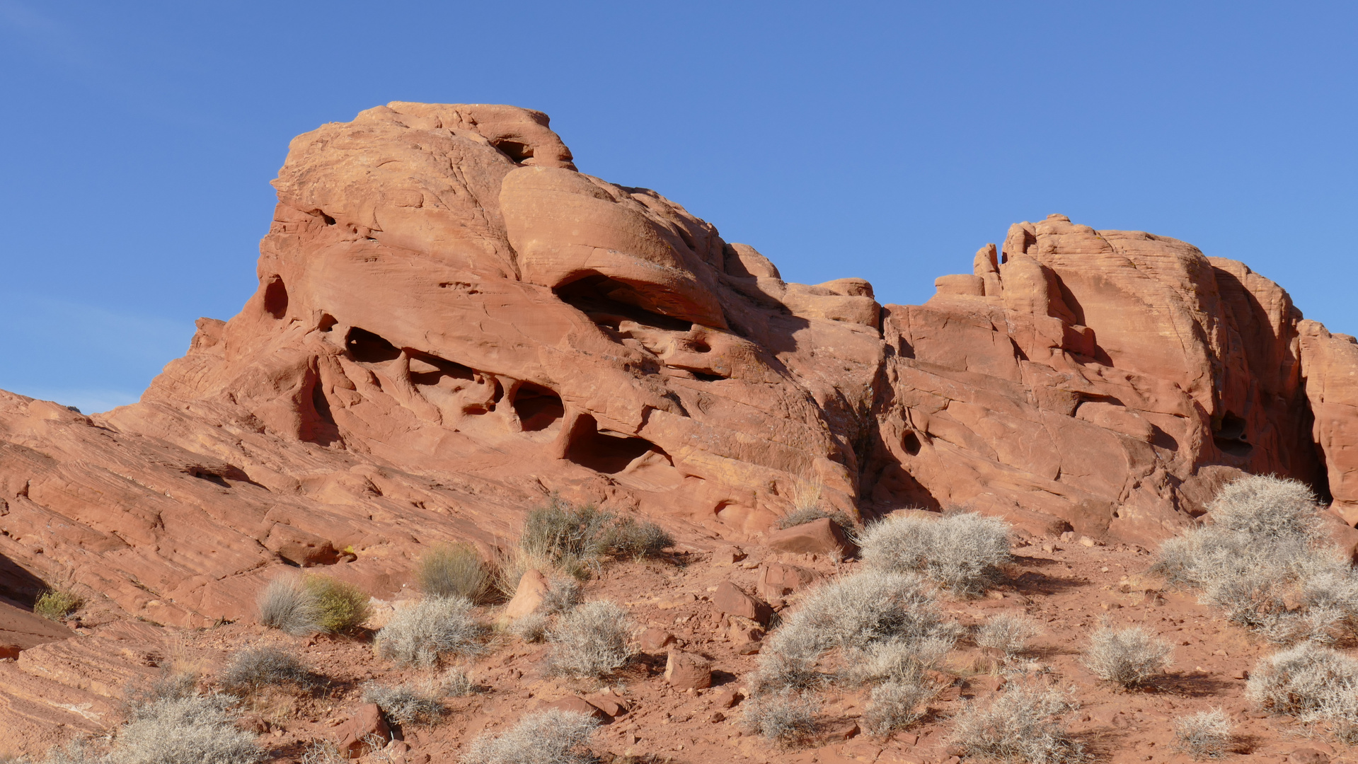 Felsen im Valley of Fire