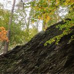 Felsen im Wald