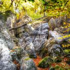 Felsen im Wald