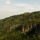 Felsen im Wald