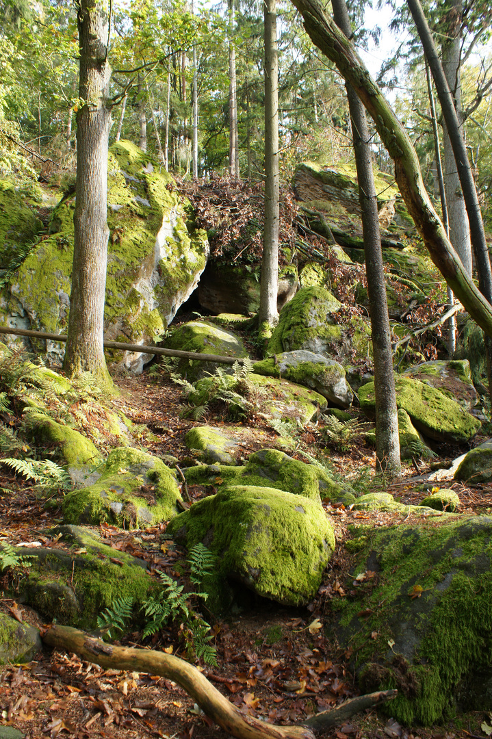 Felsen im Wald