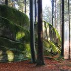 Felsen im Wald