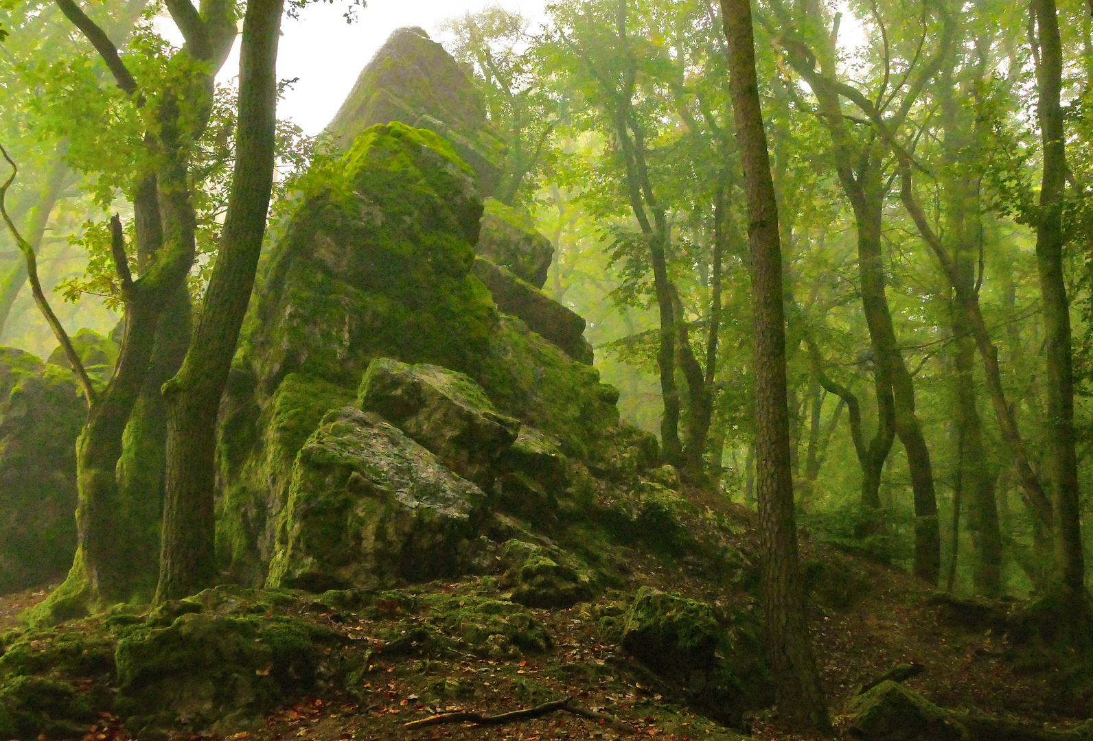 Felsen im Waldesgrün