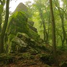 Felsen im Waldesgrün