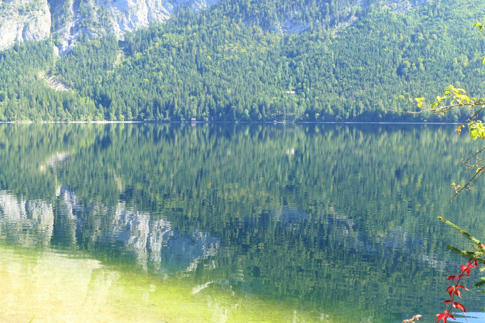 Felsen im Wasser