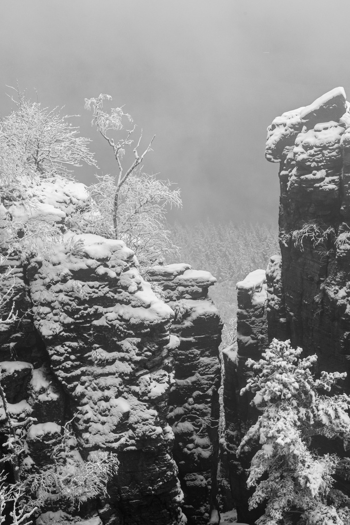 Felsen im Winternebel