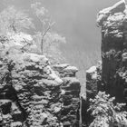 Felsen im Winternebel