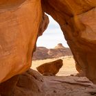 Felsen in Al Ula - Saudi Arabien