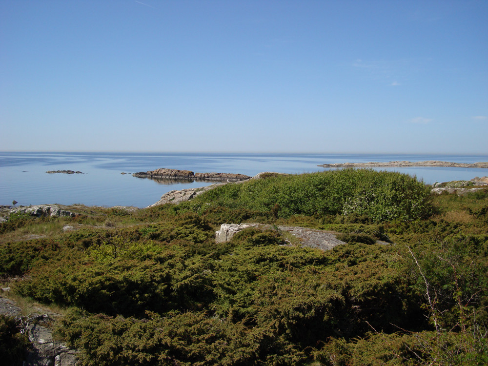 Felsen in blauem und grünem Meer