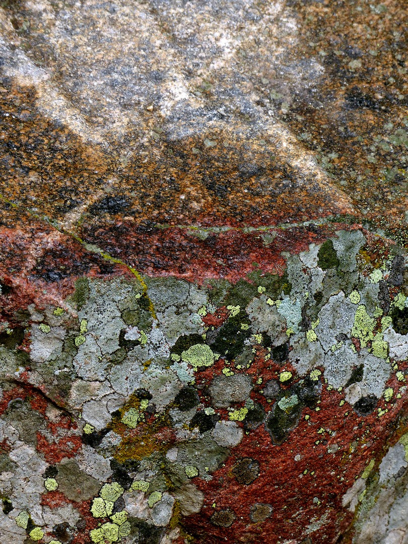 Felsen in Colorado