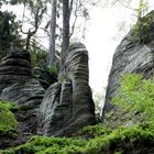 Felsen in der Böhmischen Schweiz