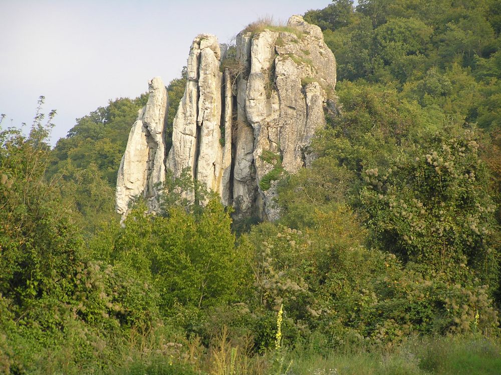 Felsen in Istrien