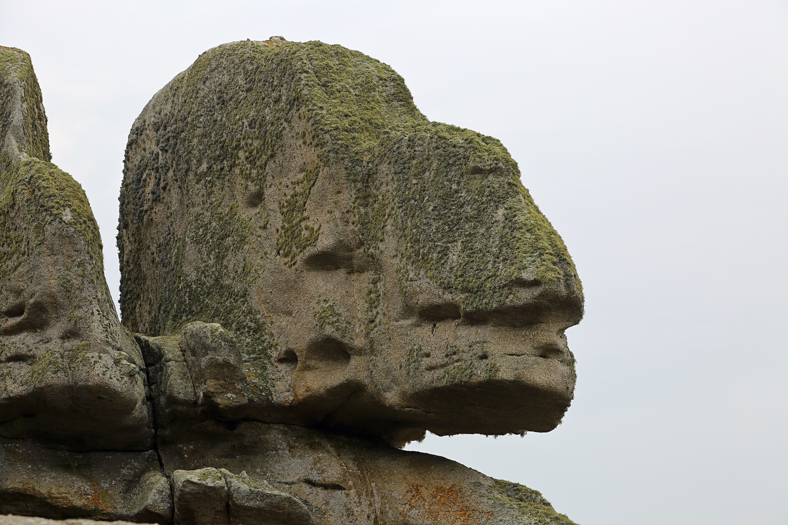 Felsen mit Gesicht