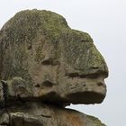 Felsen mit Gesicht