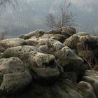 Felsen und Bäume