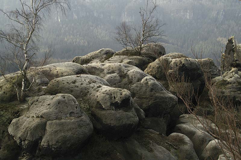 Felsen und Bäume