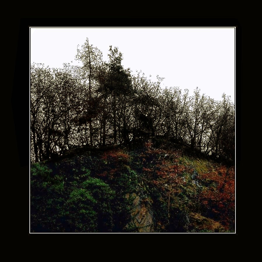 Felsen und Bäume - Rocks and trees