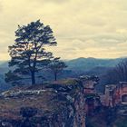 Felsen und Natur