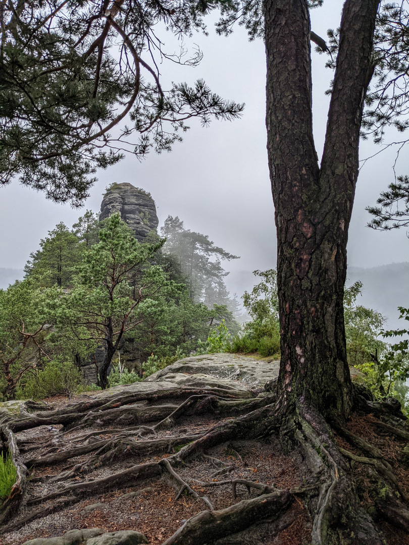 Felsen-und-Nebel2