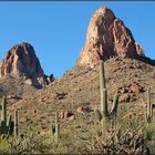 Felsen und Saguaros...