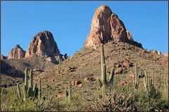 Felsen und Saguaros...