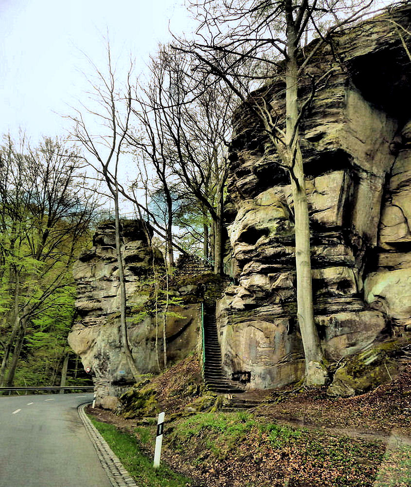 Felsen und Wald 1