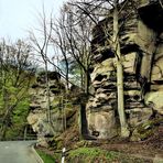 Felsen und Wald 1