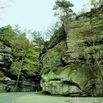 Felsen und Wald 2