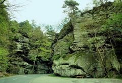 Felsen und Wald 2