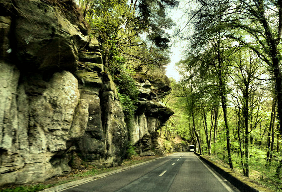 Felsen und Wald 3