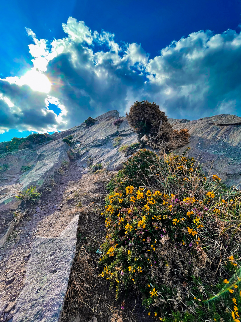 Felsen und Wolken 