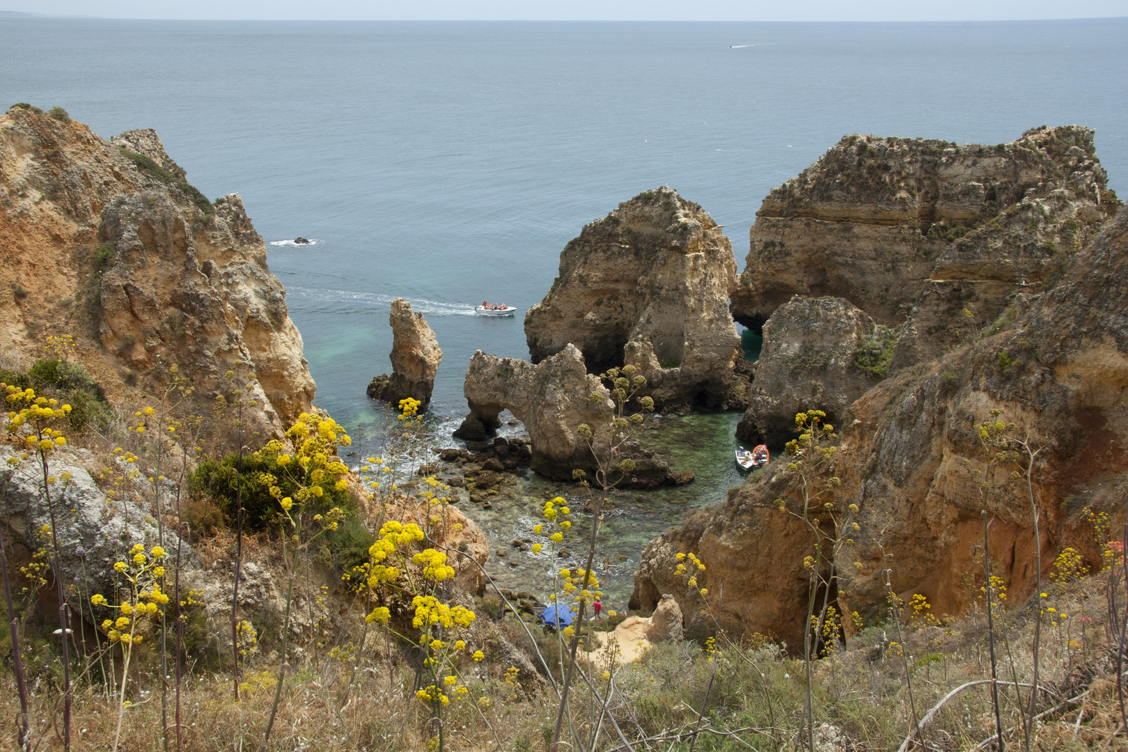 Felsenalgarve