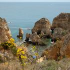 Felsenalgarve