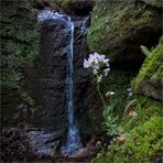 felsenbrunnen im wogbachtal