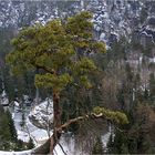 Felsenbühne im Winter