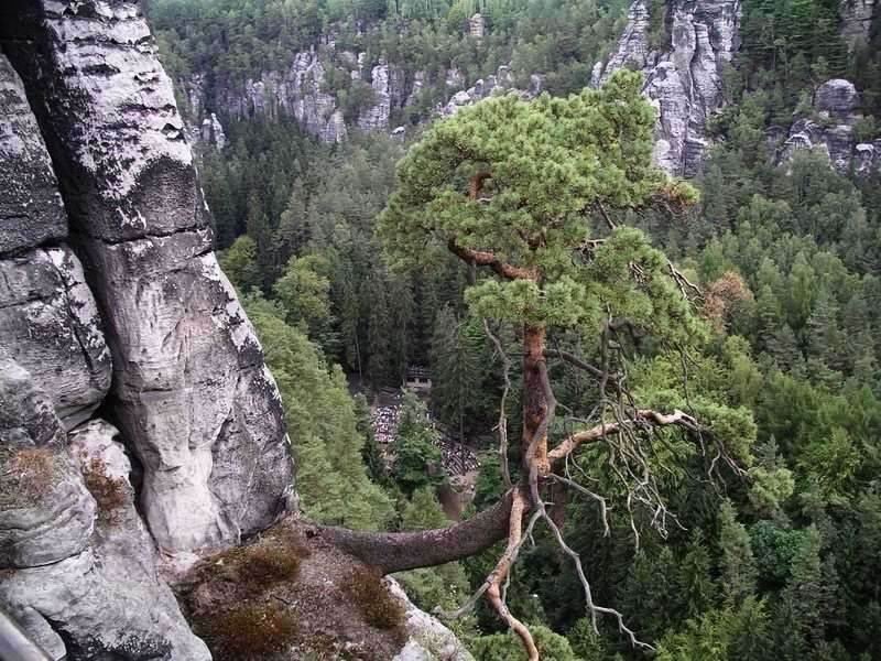 Felsenbühne Rathen, Elbsandsteingebirge