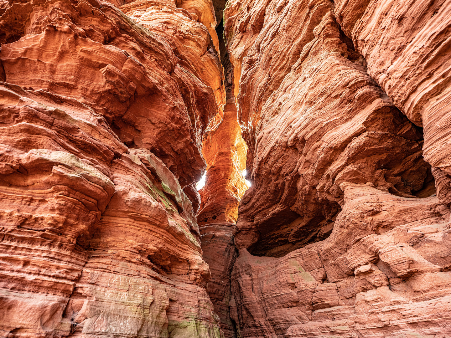 Felsenglühen am "Palatine Canyon"